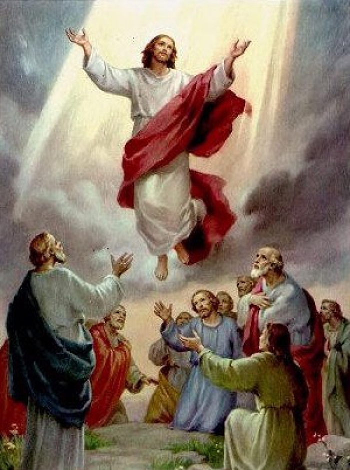 O significado da Ascensão do Senhor? - Catedral Nossa Senhora Aparecida ...
